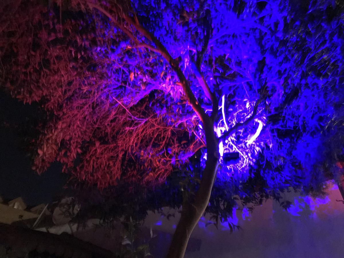 Kemer Manastir Hotel Екстериор снимка